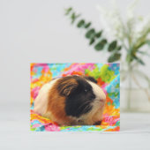 Briefkaart van de ijsberg (Staand voorkant)