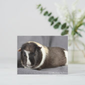 Briefkaart van de ijsberg (Staand voorkant)