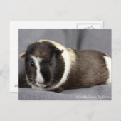 Briefkaart van de ijsberg (Voorkant / Achterkant)