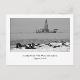 Briefkaart van de kolonie Seal