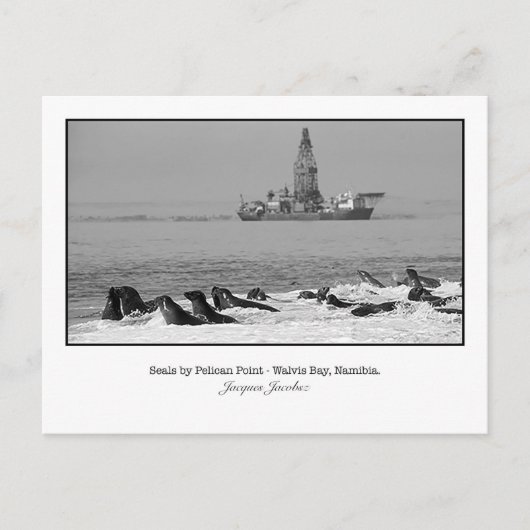 Briefkaart van de kolonie Seal (Voorkant)