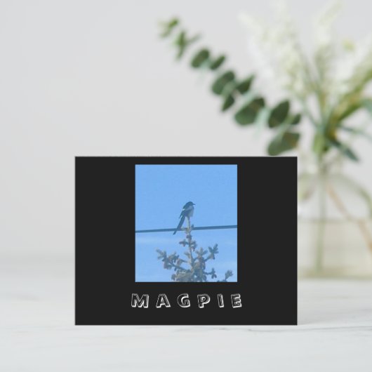 Briefkaart van de Natuur Magpie (Staand voorkant)