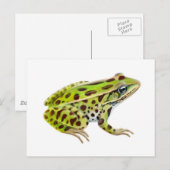 Briefkaart van de Noordelijke kever (Voorkant / Achterkant)