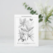 Briefkaart van de offerte van eikenbladeren en ei (Staand voorkant)