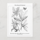 Briefkaart van de offerte van eikenbladeren en ei (Voorkant)