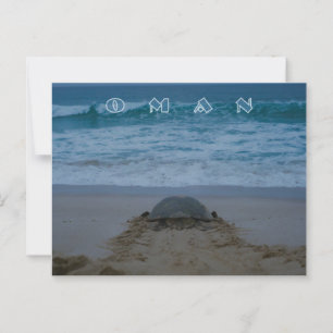 Briefkaart van de Omaanse schildpad