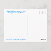 Briefkaart van de Osprey-vliegstick (Achterkant)