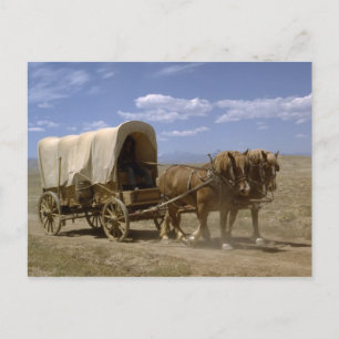 Briefkaart van de paard getrokken wagen
