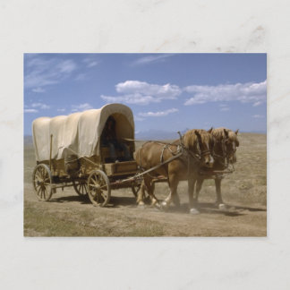 Briefkaart van de paard getrokken wagen