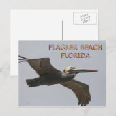 Briefkaart van de pelicaanse tak (Voorkant / Achterkant)