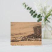 Briefkaart van de pijplenknop (Staand voorkant)