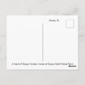 Briefkaart van de Rest Gypsy Vanner (Achterkant)