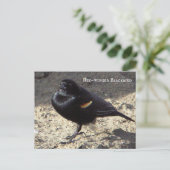 Briefkaart van de Rode-vleugel (Staand voorkant)