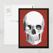 Briefkaart van de schedel (rood) (Voorkant / Achterkant)