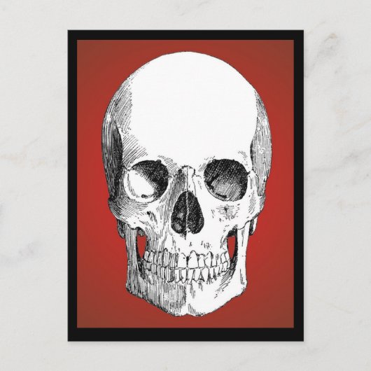 Briefkaart van de schedel (rood) (Voorkant)