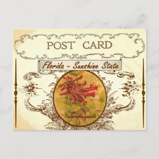  Briefkaart van de staat Florida (Voorkant)