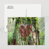 Briefkaart van de staat Washington: Liefde boom (Voorkant / Achterkant)