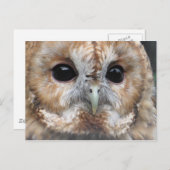 Briefkaart van de Tawny owl (Voorkant / Achterkant)