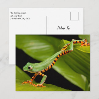 Briefkaart van de tijgerbeen-apen