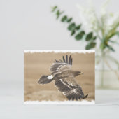 Briefkaart van de vliegende adelaar (Staand voorkant)