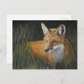 Briefkaart van de wayward Red Fox Animal Art (Voorkant / Achterkant)