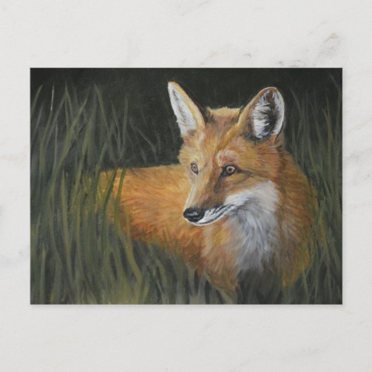 Briefkaart van de wayward Red Fox Animal Art (Voorkant)