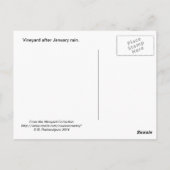 Briefkaart van de werf van Paso Robles in januari (Achterkant)