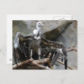 Briefkaart van de wijnbouw (Voorkant / Achterkant)