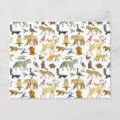 Briefkaart van de wilde dieren van de Grote Meren (Voorkant)