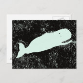 briefkaart van de witte walvis (Voorkant / Achterkant)