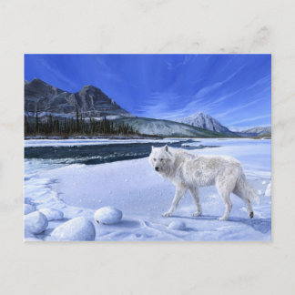 Briefkaart van de witte wolf van de Morning Patrol
