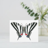 Briefkaart van de zebra Swallowtail Butterfly (Staand voorkant)