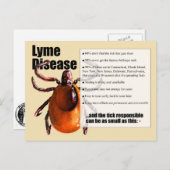 Briefkaart van de ziekte van Lyme (Voorkant / Achterkant)