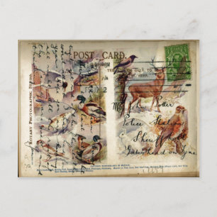 Briefkaart van de zomer- en winterwilde natuur