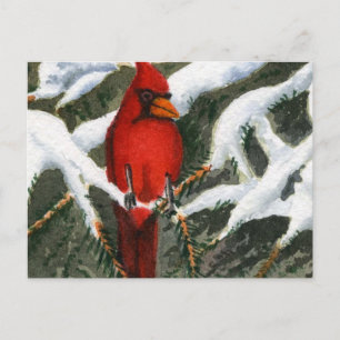 Briefkaart van dieren
