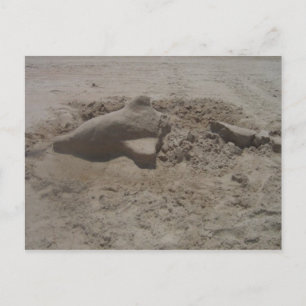 Briefkaart van Dolphin Sandcastle