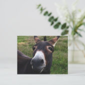 Briefkaart van Donkey glimlachen (Staand voorkant)
