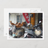 Briefkaart van Doxies (Voorkant / Achterkant)