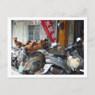 Briefkaart van Doxies