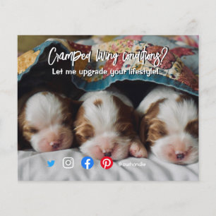 briefkaart van een grappig vastgoed, een gekke hon flyer