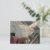 Briefkaart van een uil (Staand voorkant)