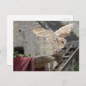 Briefkaart van een uil (Voorkant / Achterkant)