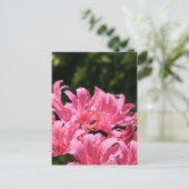 Briefkaart van elektrische verrassingen (Staand voorkant)