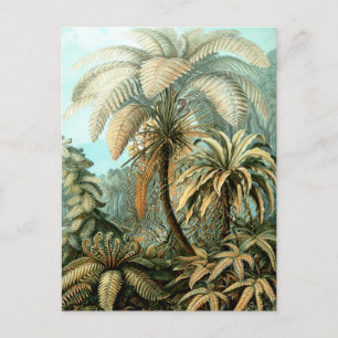 Briefkaart van Ernst Haeckel in de Filicinae (Tree