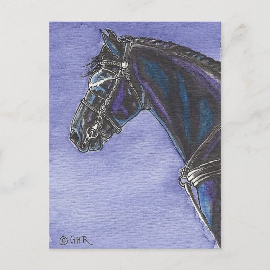 Briefkaart van Friesian Horse (Voorkant)