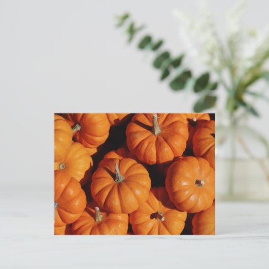 Briefkaart van fruit en levensmiddelen 17 (Staand voorkant)