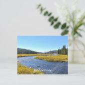 Briefkaart van geelsteen (Staand voorkant)