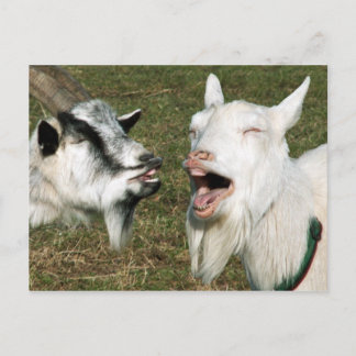 Briefkaart van geiten
