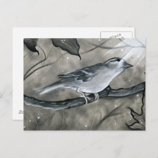 Briefkaart van gekantelde vogelbomen (Voorkant / Achterkant)