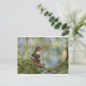 Briefkaart van geperst Hummingbird (Staand voorkant)